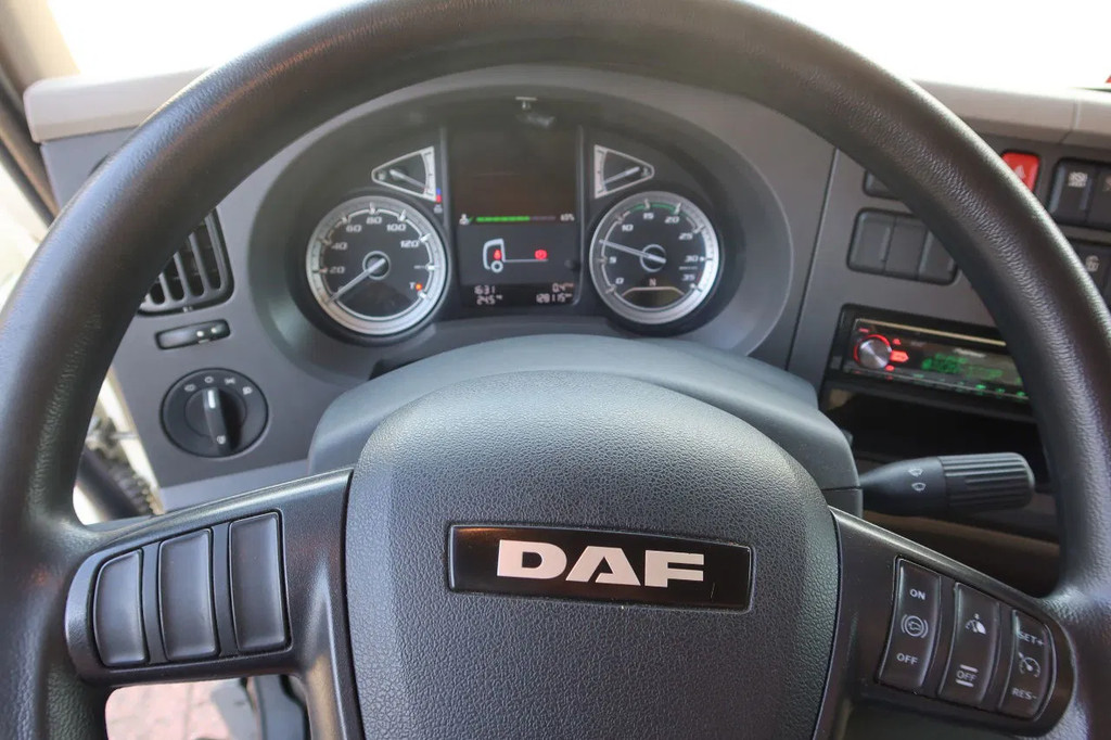 DAF LF 210 FA Bakwagen + Dhollandia 2000 kg klep extra accu set, 3x bindrail + stang. 9