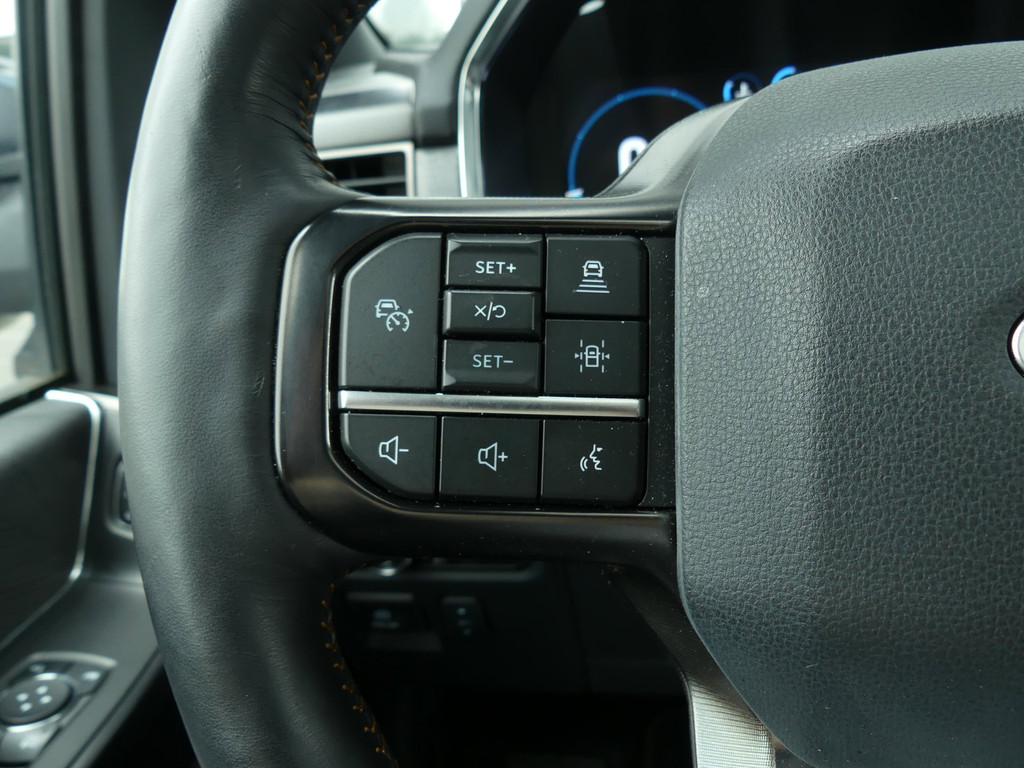 Ford F-150 V6 Platinum AWD 5P / B&O / PANO / 15