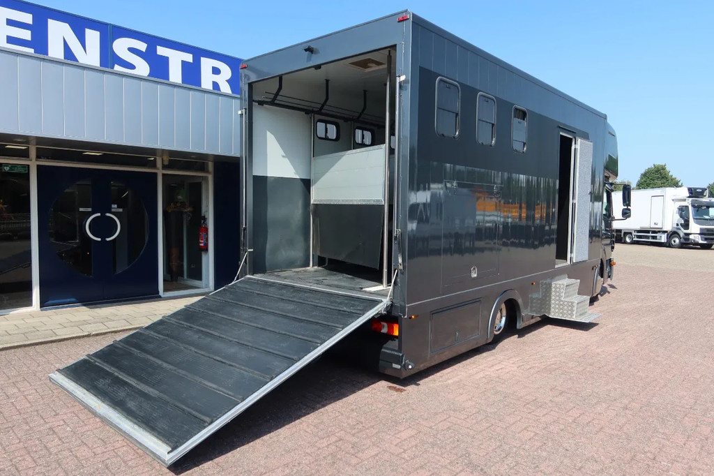 Mercedes-Benz Atego 816 L 3 Paarden/4 Ponies 20