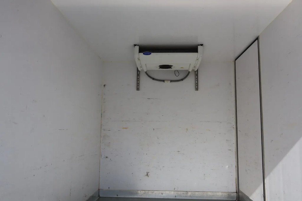 Mercedes-Benz Sprinter 516 CDI Koel/Vries + Dhollandia Klep 750 kg Carrier 300 Xarios Dag + nacht 220 Volt 10