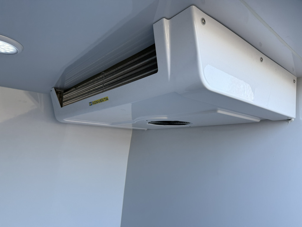 Mercedes-Benz Sprinter KOELWAGEN 317 1.9 CDI L2H2 RWD BPM VRIJ 21