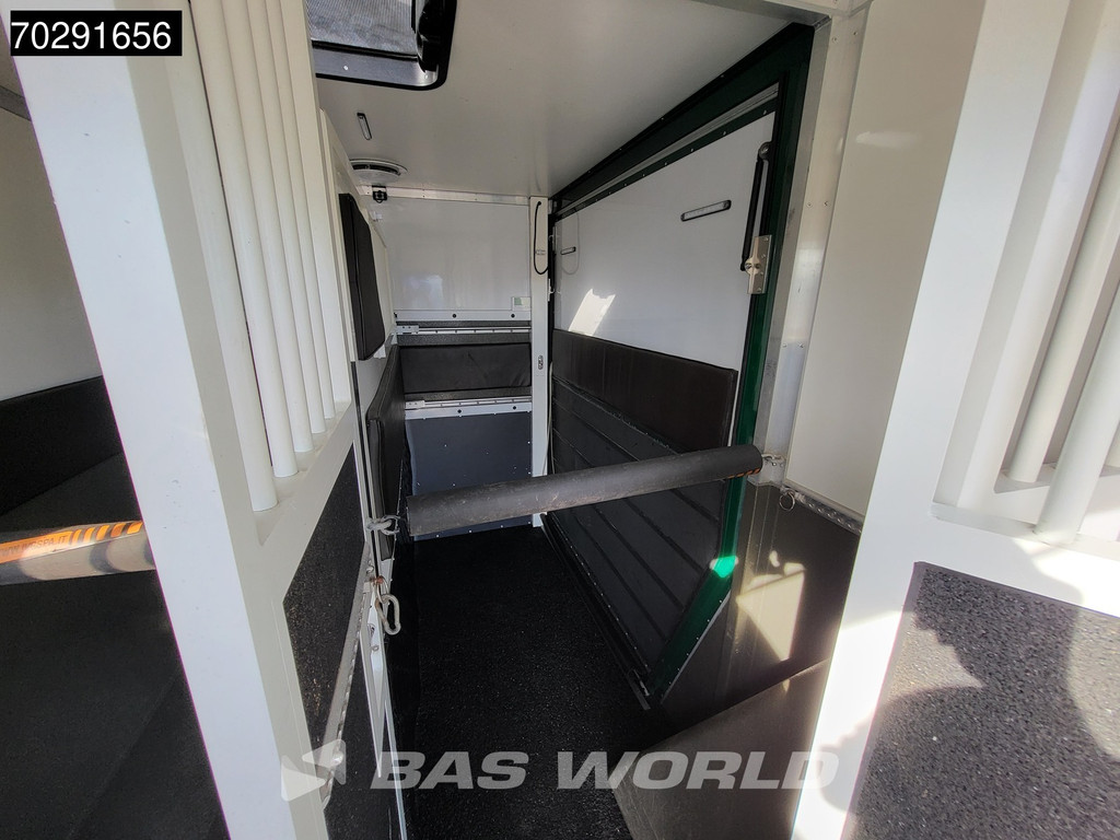 Renault Master 180PK Paardenwagen Hengstenuitvoering Automaat 180PK Trekhaak LED Airco Cruise Camera Euro6 Horsetruck Horse Airco Trekhaak Cruise control 11