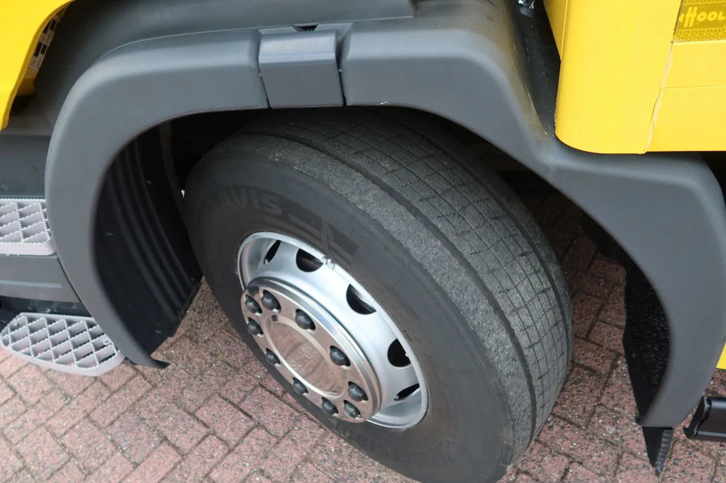 Scania P250 4x2 Bakwagen +Dhollandia klep 1500 kg E6 9