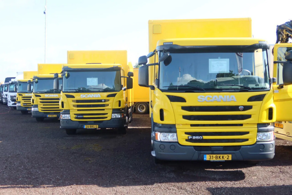 Scania P250 Bak+Klep E6 Dhollandia 1500 kg 13
