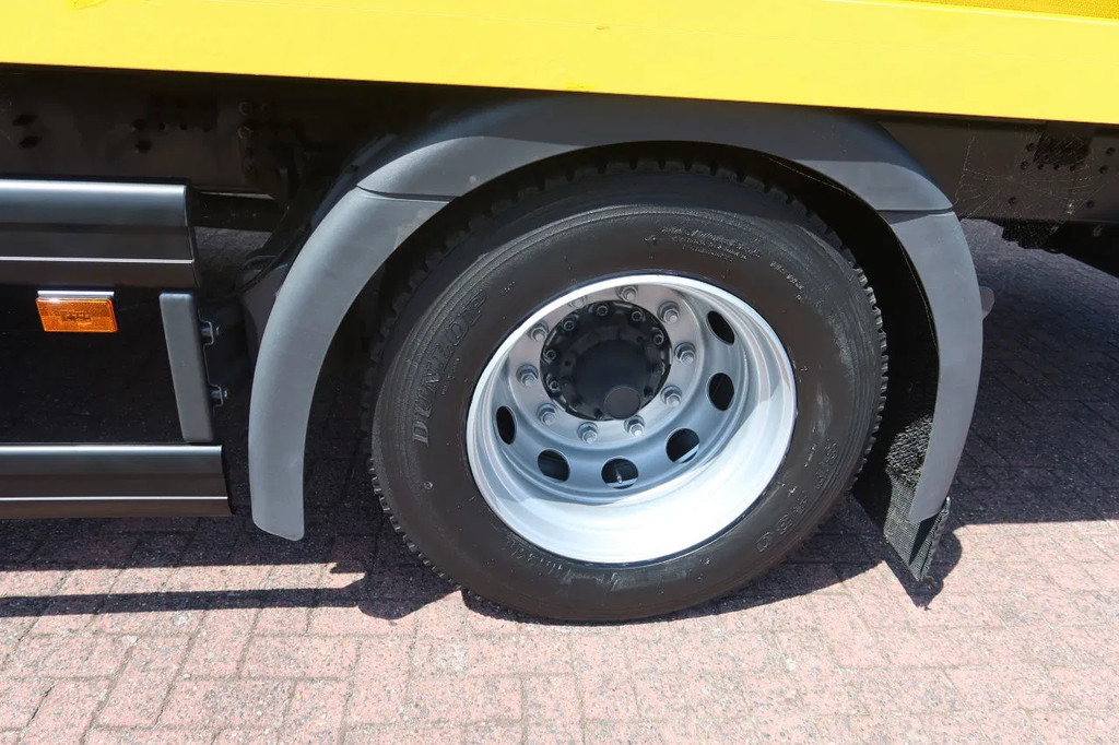 Scania P250 P 250 21