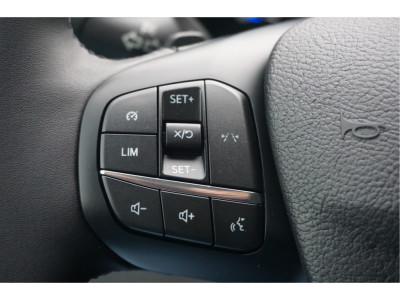 Ford Transit 350M L2H2 Limited AUT-8 165PK BPM VRIJ Navi, Camera, Xenon, Lm Velg, Trekhaak!! NR. A117 17