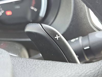 Peugeot EXPERT 2.0 L2 Automaat 180 PK! 13