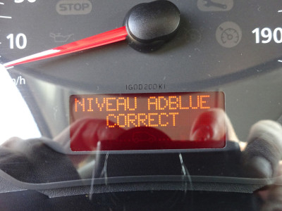 Renault Kangoo 1.5 Blue dCi 95 PK Maxi L2 AIRCO CRUISE CONTROL PDC foto 20